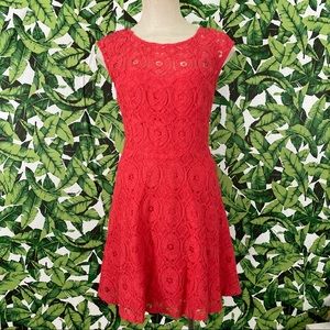 BB Dakota Lace Shift Dress 797